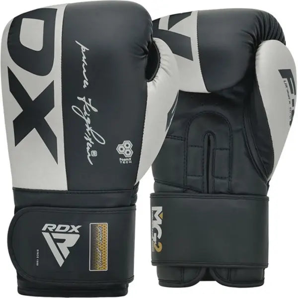 Boxing Gloves Rex F4 Gray/Black