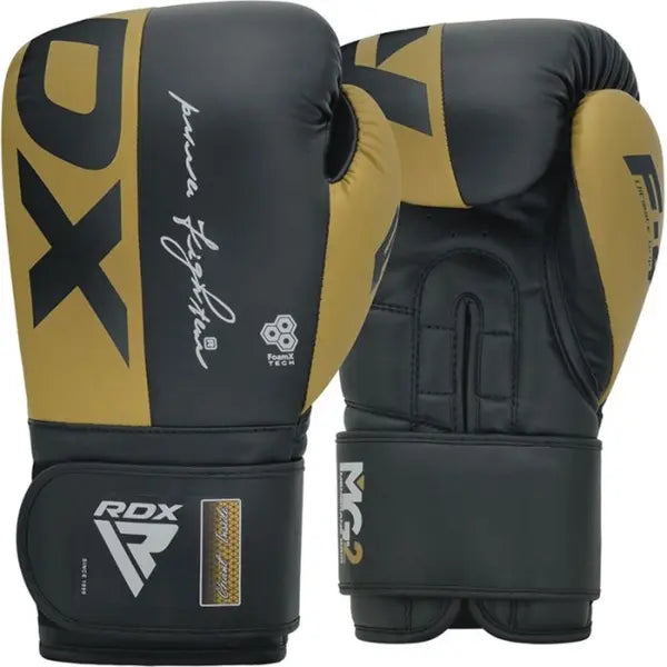 Boxing Gloves Rex F4 Golden/Black